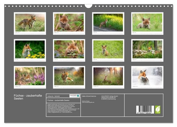Produktbild: F&uuml;chse - zauberhafte Seelen (Wandkalender 2026 DIN A3 quer), CALVENDO Monatskalender