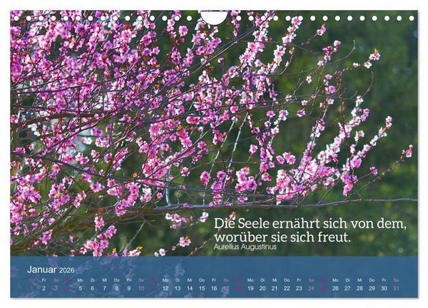 Produktbild: FASZINATION MANDELBL&Uuml;TE (Wandkalender 2026 DIN A4 quer), CALVENDO Monatskalender