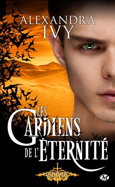 Produktbild: Les Gardiens de l'&eacute;ternit&eacute;, T15 : Ulric