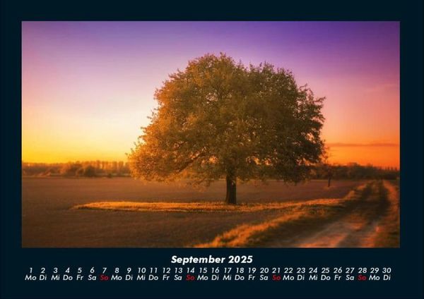 Produktbild: B&auml;ume 2025 Fotokalender DIN A4