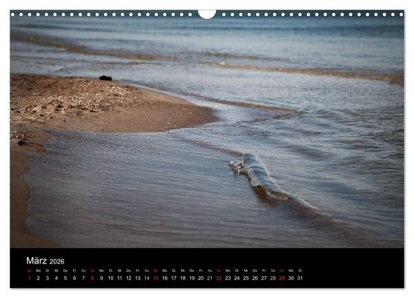 Produktbild: Sehnsucht nach Meer (Wandkalender 2026 DIN A3 quer), CALVENDO Monatskalender
