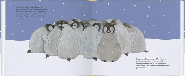 Produktbild: Kleiner Pinguin, bald bist du gro&szlig;!