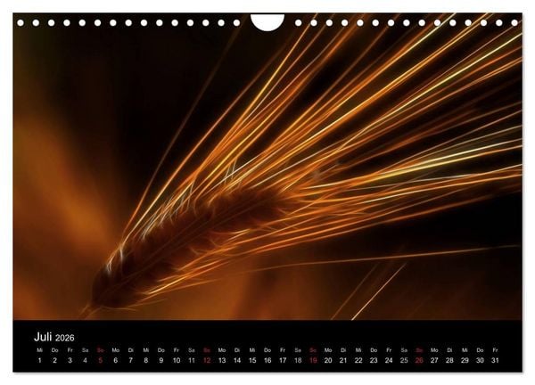 Produktbild: Floral Abstrakt 2026 (Wandkalender 2026 DIN A4 quer), CALVENDO Monatskalender