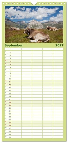 Produktbild: Familienplaner 2027 - Tierkalender 2027 mit 5 Spalten (Wandkalender, 21 x 45 cm) CALVENDO
