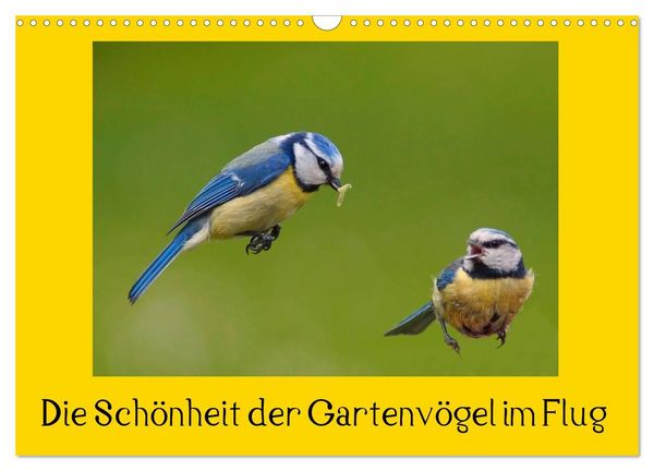 Produktbild: Die Sch&ouml;nheit der Gartenv&ouml;gel im Flug (Wandkalender 2027 DIN A3 quer), CALVENDO Monatskalender