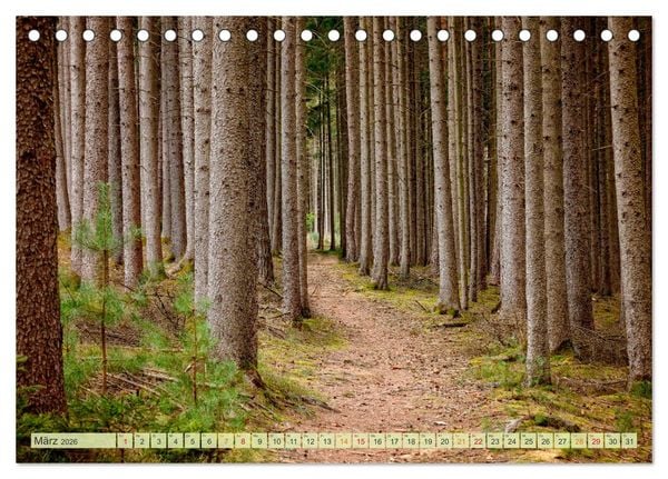 Produktbild: Wandern - die Welt erwartet Dich (Tischkalender 2026 DIN A5 quer), CALVENDO Monatskalender