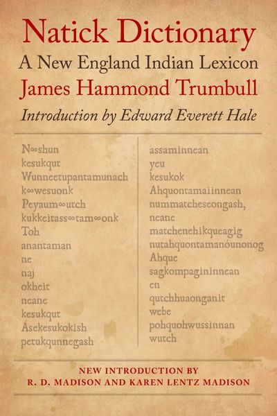 Produktbild: Natick Dictionary