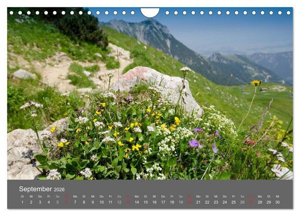 Produktbild: Tannheimer Tal (Wandkalender 2026 DIN A4 quer), CALVENDO Monatskalender