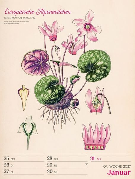 Produktbild: Ars Floralis Wochenplaner Kalender 2027