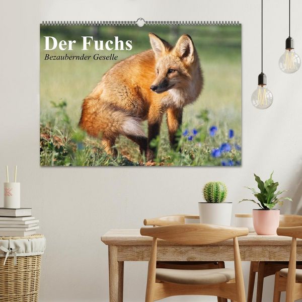 Produktbild: Der Fuchs. Bezaubernder Geselle (Wandkalender 2026 DIN A2 quer), CALVENDO Monatskalender