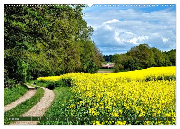 Produktbild: Wiesen W&auml;lder Weiher. Der Naturpark Augsburg-Westliche W&auml;lder (hochwertiger Premium Wandkalender 2026 DIN A2 quer), Kunstdruck in Hochglanz