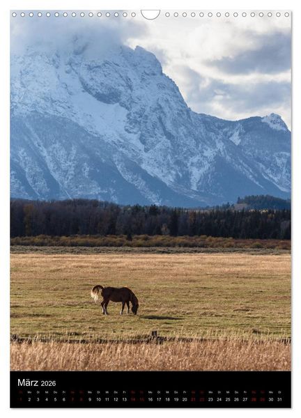 Produktbild: Teton Range - Der Grand Teton National Park (Wandkalender 2026 DIN A3 hoch), CALVENDO Monatskalender