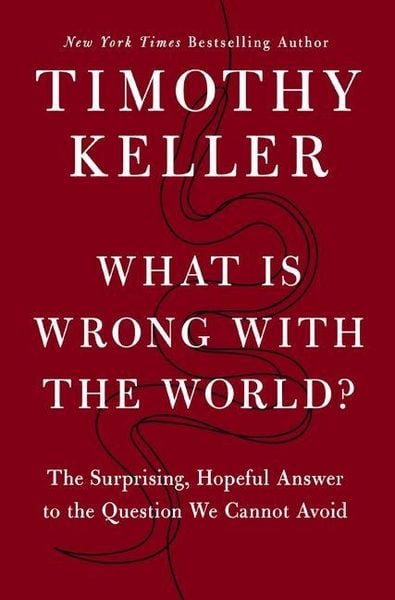 Produktbild: What Is Wrong with the World?