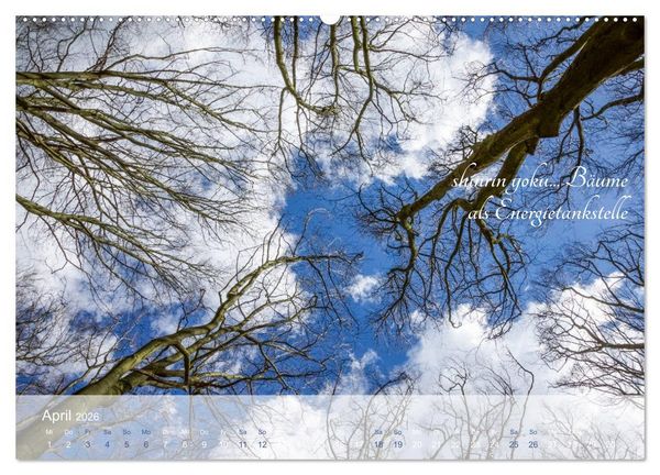 Produktbild: Shinrin yoku - Waldbaden 2026 (Wandkalender 2026 DIN A2 quer), CALVENDO Monatskalender