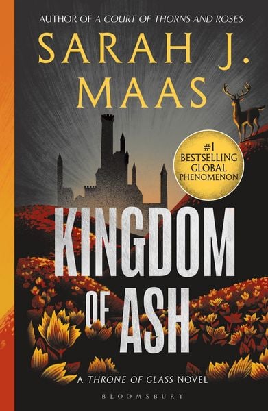 Produktbild: Kingdom of Ash