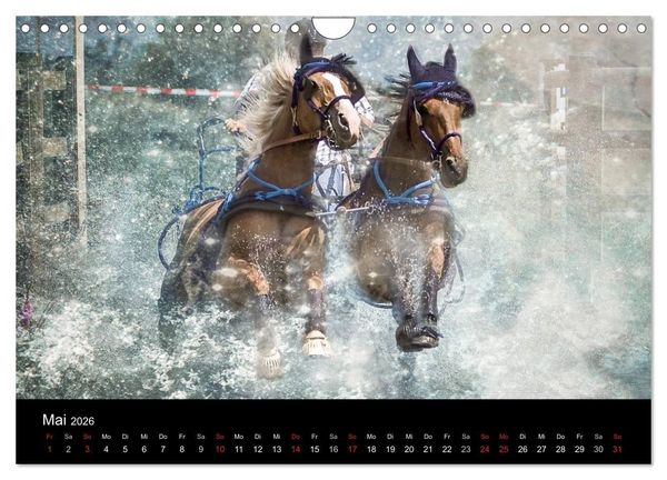 Produktbild: Pferde zum Tr&auml;umen (Wandkalender 2026 DIN A4 quer), CALVENDO Monatskalender
