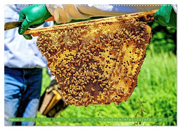 Produktbild: Ein Leben f&uuml;r den Honig: Bienen und Imker (hochwertiger Premium Wandkalender 2027 DIN A2 quer), Kunstdruck in Hochglanz