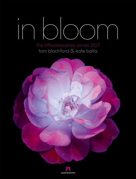 Produktbild: in bloom Kalender 2027