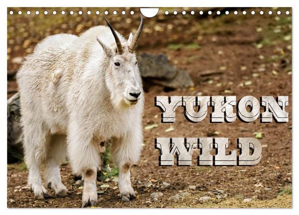 Produktbild: Yukon Wild (Wall Calendar 2026 DIN A4 landscape), CALVENDO 12 Month Wall Calendar
