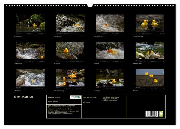 Produktbild: Enten-Rennen (Wandkalender 2026 DIN A2 quer), CALVENDO Monatskalender