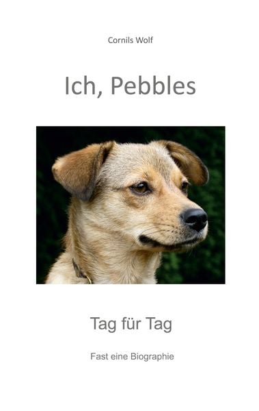 Produktbild: Ich, Pebbles