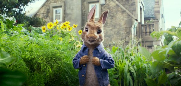 Produktbild: Peter Hase