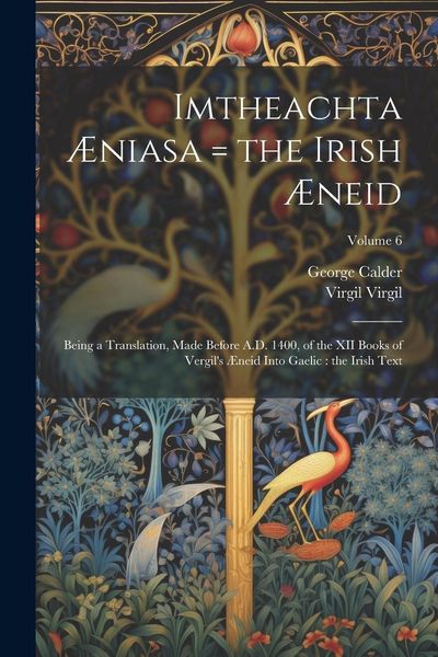 Produktbild: Imtheachta &AElig;niasa = the Irish &AElig;neid