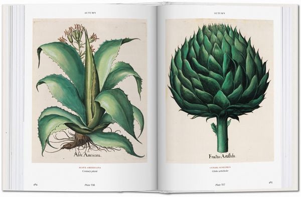 Produktbild: Basilius Besler