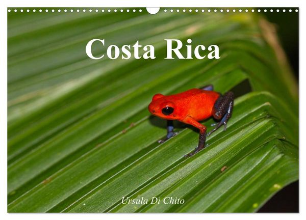 Produktbild: Costa Rica (Wandkalender 2026 DIN A3 quer), CALVENDO Monatskalender