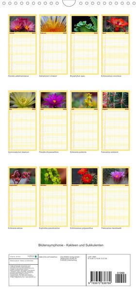 Produktbild: Bl&uuml;tensymphonie - Kakteen und Sukkulenten - Familienplaner hoch (Wandkalender 2022 , 21 cm x 45 cm, hoch)