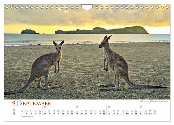 Produktbild: Australien - Cairns-Brisbane (Wandkalender 2027 DIN A4 quer), CALVENDO Monatskalender