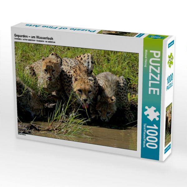 Produktbild: Geparden - am Wasserloch (Puzzle)