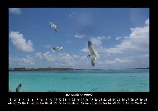 Produktbild: Trauminseln 2025 Fotokalender DIN A3