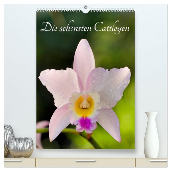 Die schönsten Cattleyen (hochwertiger Premium Wandkalender 2026 DIN A2 hoch), Kunstdruck in Hochglanz