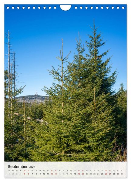 Produktbild: Harzer Landschaften - 12 Monate im Naturparadies Harz (Wandkalender 2026 DIN A4 hoch), CALVENDO Monatskalender