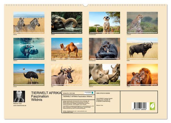 Produktbild: TIERWELT AFRIKA Faszination Wildnis (hochwertiger Premium Wandkalender 2026 DIN A2 quer), Kunstdruck in Hochglanz