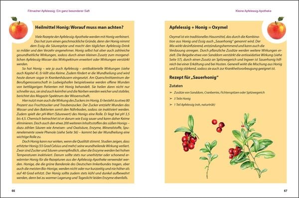 Produktbild: Apfelessig neu entdeckt - Der Alleskönner und seine unbegrenzten Verwendungsmöglichkeiten. Küchenwunder, Beauty-Mittel, Gesundheits-Elixier