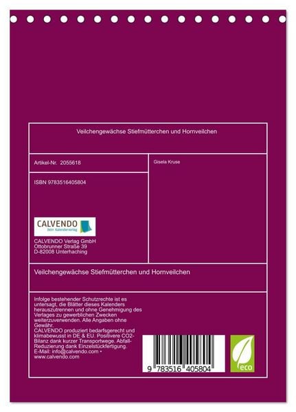 Produktbild: Veilchengew&auml;chse Stiefm&uuml;tterchen und Hornveilchen (Tischkalender 2026 DIN A5 hoch), CALVENDO Monatskalender