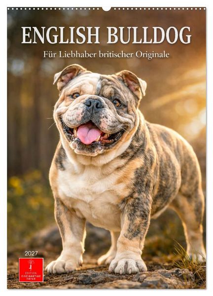 Produktbild: English Bulldog - F&uuml;r Liebhaber britischer Originale (Wandkalender 2027 DIN A2 hoch), CALVENDO Monatskalender