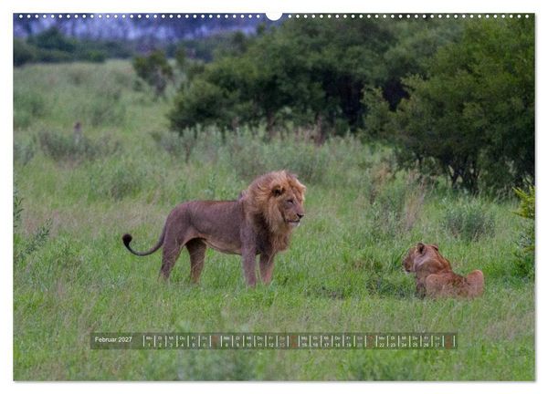 Produktbild: Abenteuer Botswana Afrika - Adventure Botswana (hochwertiger Premium Wandkalender 2027 DIN A2 quer), Kunstdruck in Hochglanz