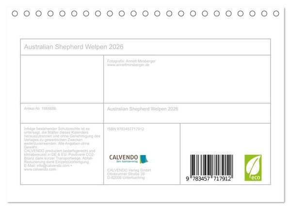 Produktbild: Australian Shepherd Welpen 2026 (Tischkalender 2026 DIN A5 quer), CALVENDO Monatskalender