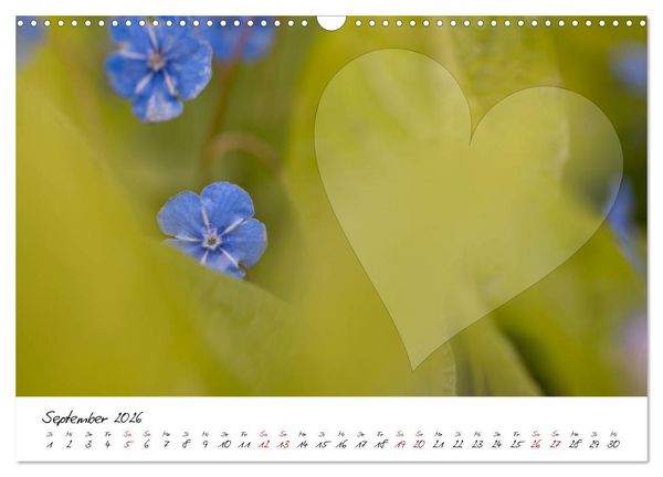 Produktbild: Blauer Bl&uuml;tentraum - Bastelkalender (Wandkalender 2026 DIN A3 quer), CALVENDO Monatskalender