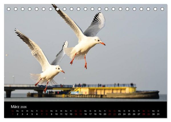 Produktbild: Polen - Reise durch unser sch&ouml;nes Nachbarland (Tischkalender 2026 DIN A5 quer), CALVENDO Monatskalender