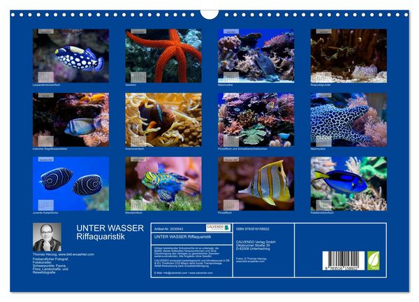 Produktbild: UNTER WASSER Riffaquaristik (Wandkalender 2026 DIN A3 quer), CALVENDO Monatskalender