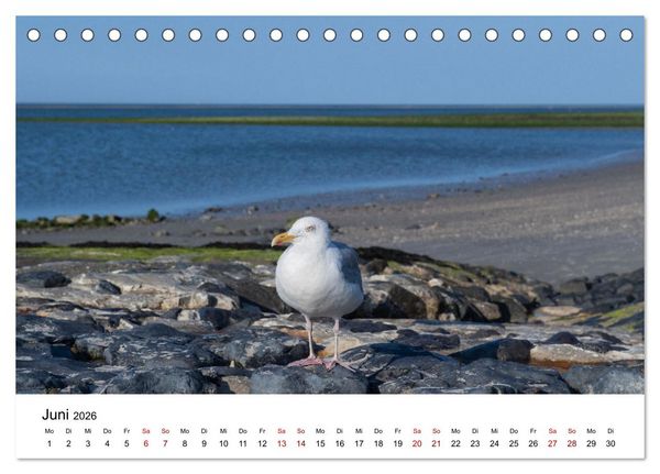 Produktbild: Ostfriesland - Ein Jahr in Bildern (Tischkalender 2026 DIN A5 quer), CALVENDO Monatskalender