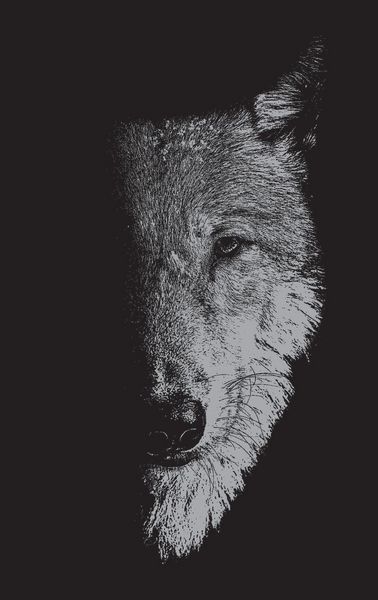 Produktbild: In the company of wolves
