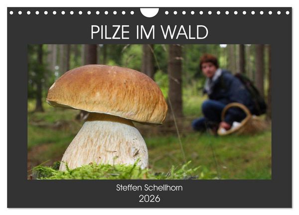 PILZE IM WALD (Wandkalender 2026 DIN A4 quer), CALVENDO Monatskalender