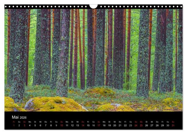 Produktbild: Naturwucht Skandinavien (Wandkalender 2026 DIN A3 quer), CALVENDO Monatskalender