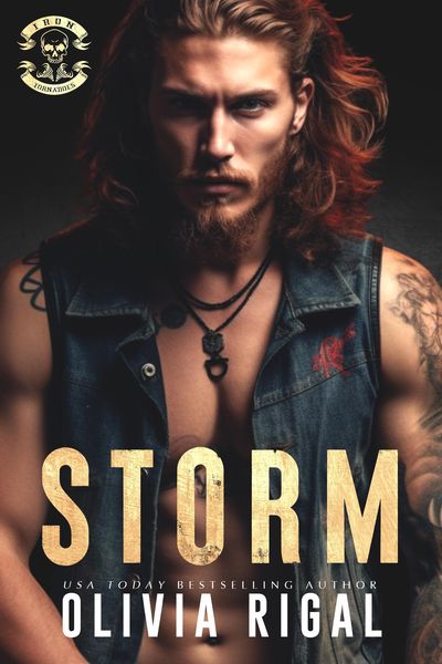 Produktbild: Storm (Iron Tornadoes MC Romance)