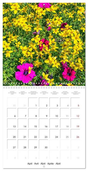 Produktbild: Harmonie Florale Des Pr&eacute;s aux Villes (Calendrier mural carr&eacute; 2026 30x30 cm) Calendrier double avec une page pour vos prises de notes